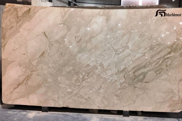 Fossil Brown Granite